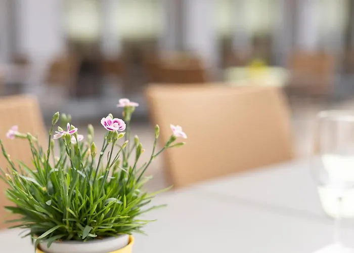 Senevita Wangenmatt Berna